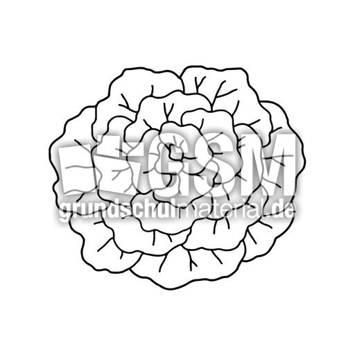 Salat_sw.jpg
